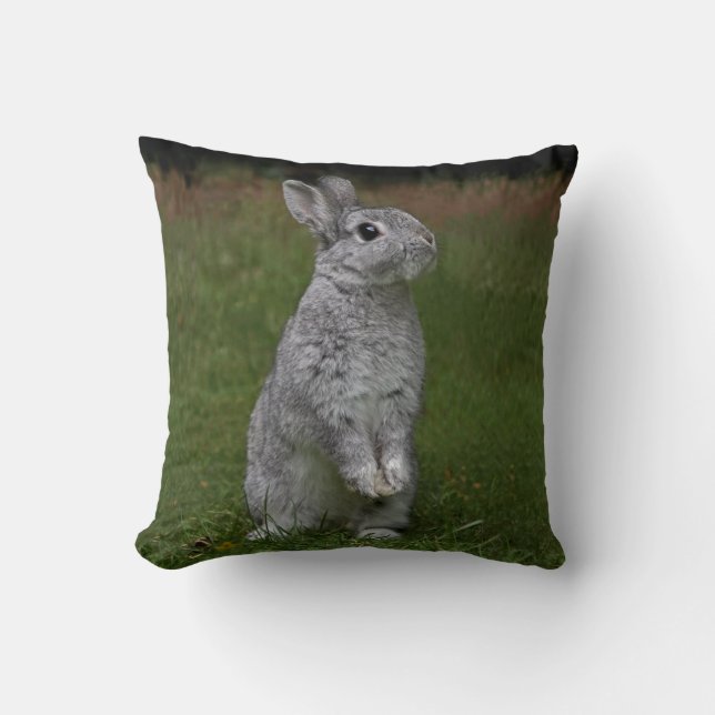 Oreiller de bébé lapin mignon (Recto)