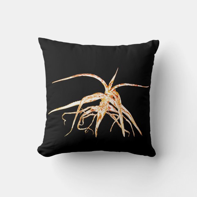 Oreiller de Coussin de Plante Succulente d'Aloe St (Recto)