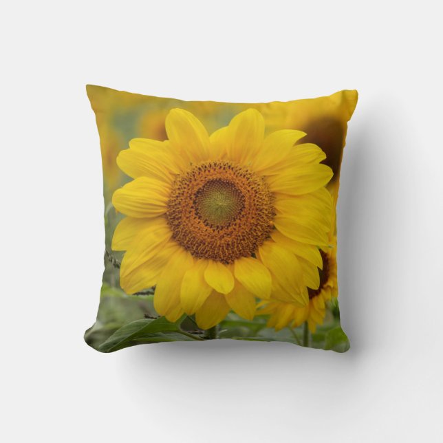 Oreiller de lancer Tournesol Jaune Décoration de M (Recto)