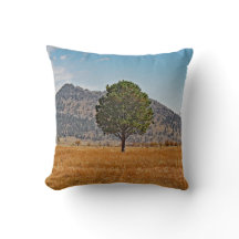 Oreiller de montagne