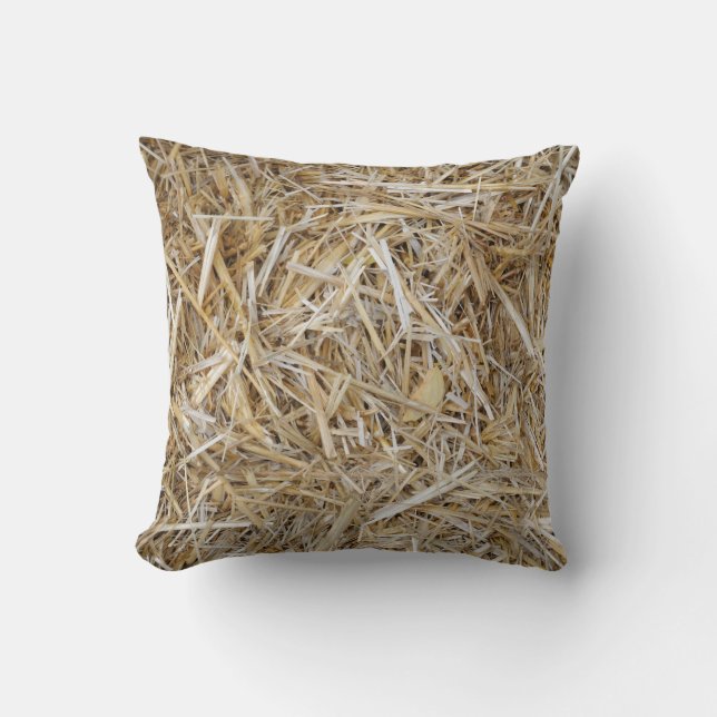oreiller de paille de blague d'automne (Recto)