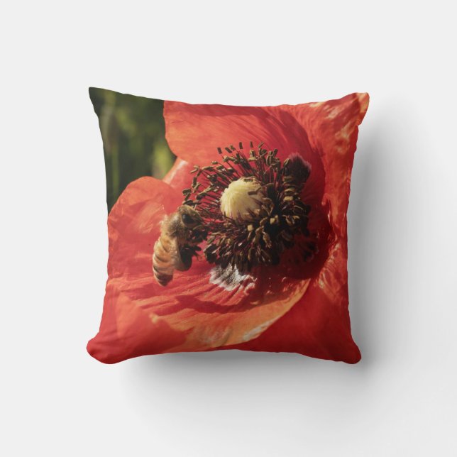 Oreiller décoratif Coquelicot Rouge Vibrant et Abe (Recto)