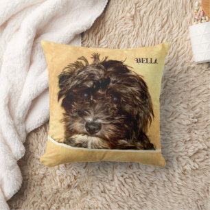 Oreiller jetable avec texte de chien Schnoodle