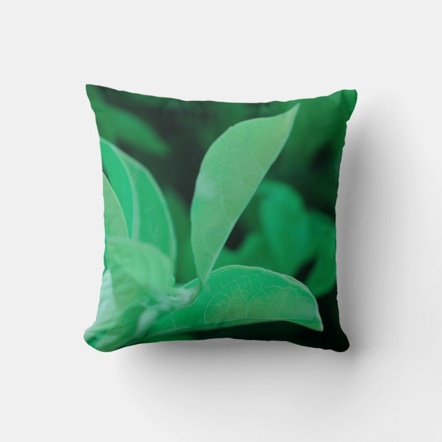 Oreiller jeté aux feuilles de plante vert pâle (Recto)