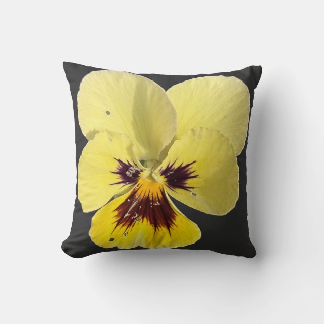 Oreiller jeté avec photo de fleur de pensée jaune  (Recto)