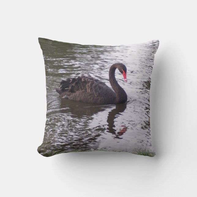 Oreiller jeté Black Swan (Recto)