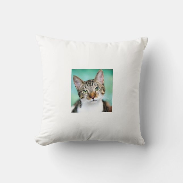 Oreiller Jeté Chat (Recto)