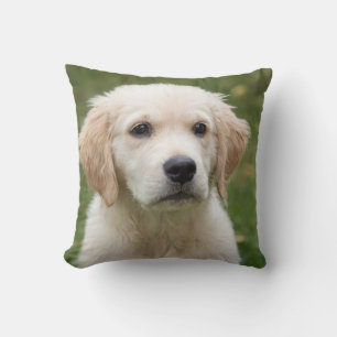 Oreiller jeté de chiot mignon