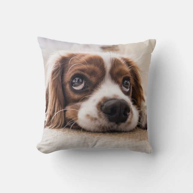 Oreiller jeté de chiot mignon (Recto)