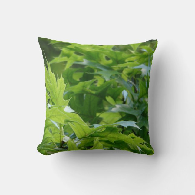 Oreiller jeté de feuilles de chêne vert (Recto)