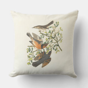Oreiller jeté d'illustration de botanique vintage 