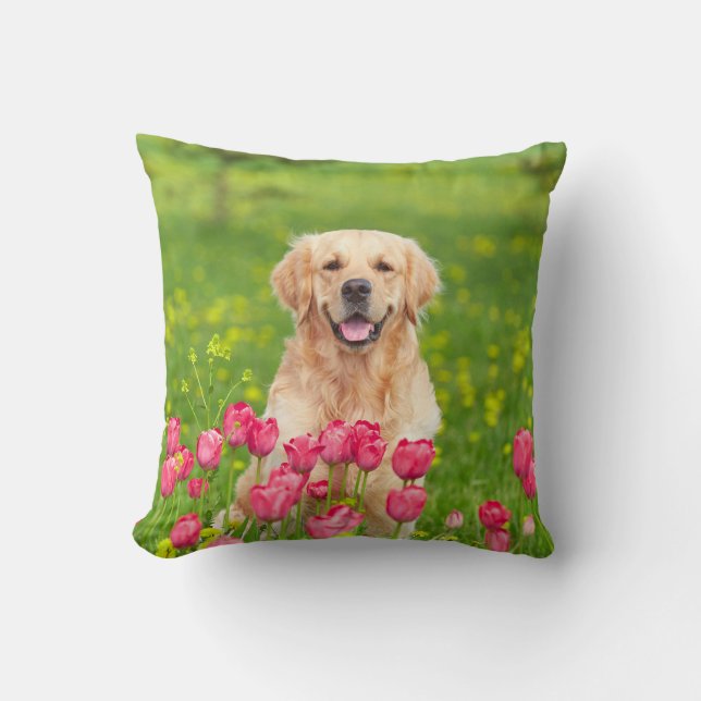 Oreiller jeté Golden Retriever (Recto)