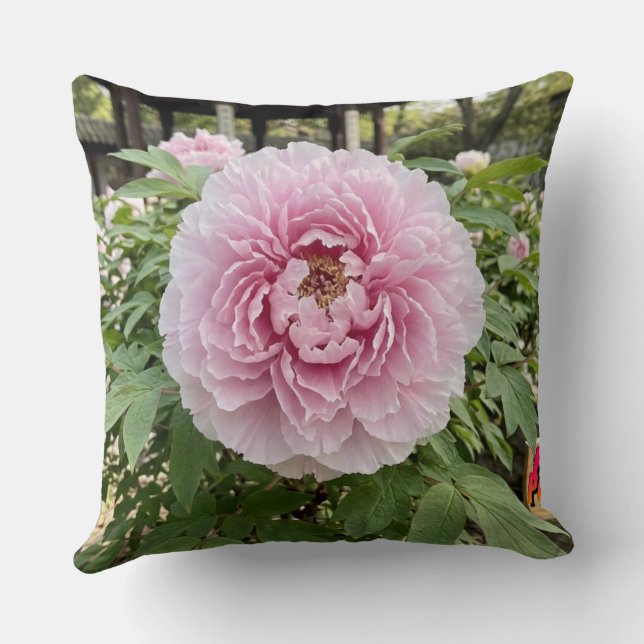 Oreiller jeté - Série florale Paeonia - Oreiller (Verso)