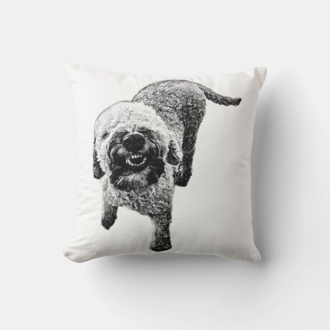 Oreiller Lagotto Romagnolo – Conception de chien h (Recto)