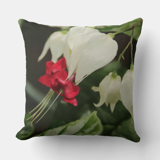 Oreiller lumineux rouge vif fleur tropicale blanch (Recto)