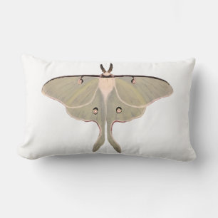 Oreiller Luna Moth