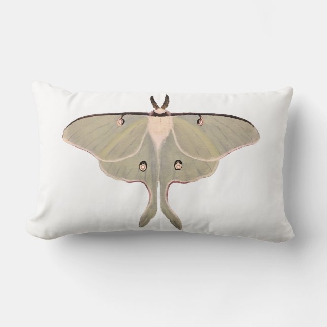 Oreiller Luna Moth (Recto)