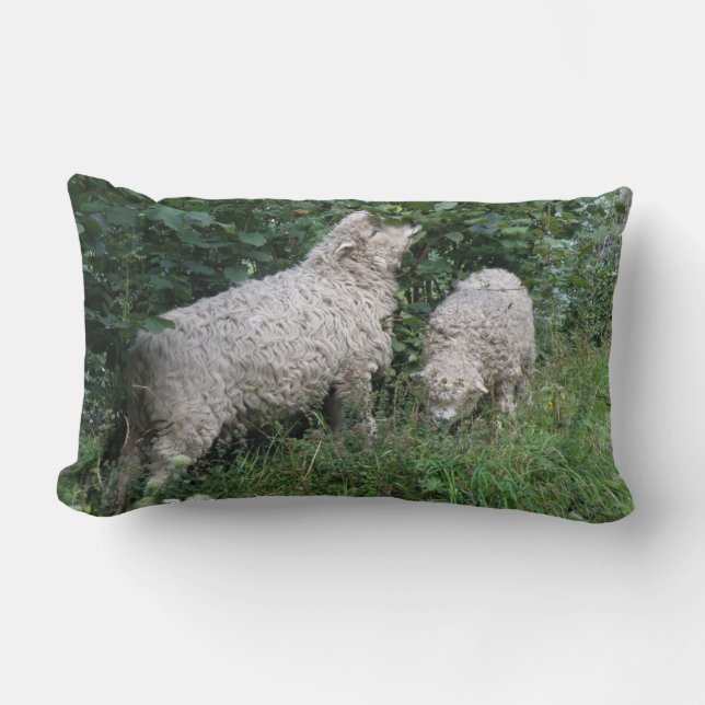 Oreiller Mouton Mignon Mangeant des Feuilles (Recto)