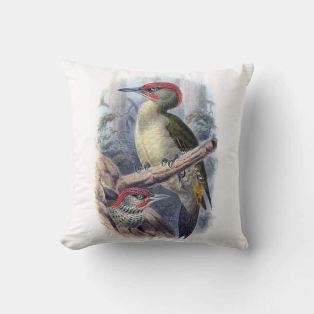Oreiller Oiseau Pic vert d'Europe vintage (Recto)