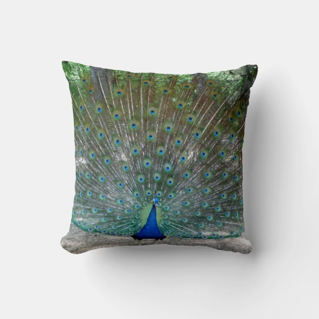 oreiller Peacock Throw (Recto)
