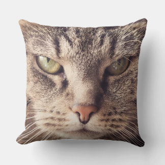 oreiller personnalisé pour chat