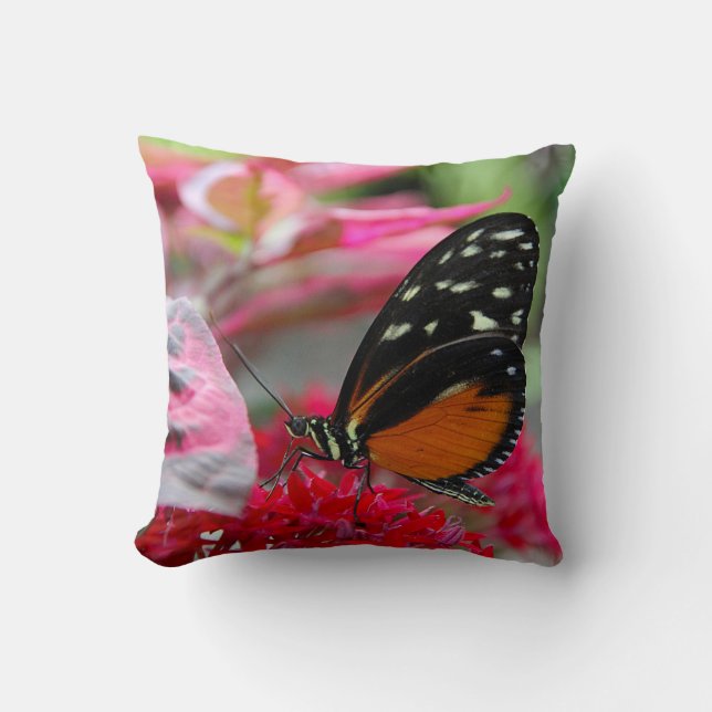 Oreiller photo de papillon orange et noir sur fleu (Recto)