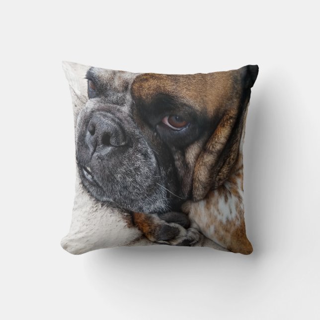 Oreiller photo d'un mignon Bulldog victorien (Recto)