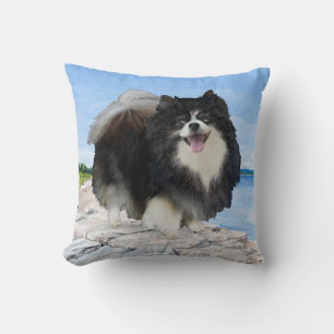 Oreiller Pomeranian au bord de la mer