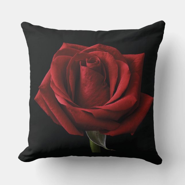 oreiller rouge (Recto)