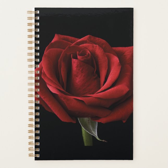 oreiller rouge (Devant)