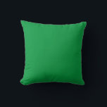 Oreiller simple couleur verte<br><div class="desc">Couleur simple rouge foncé</div>