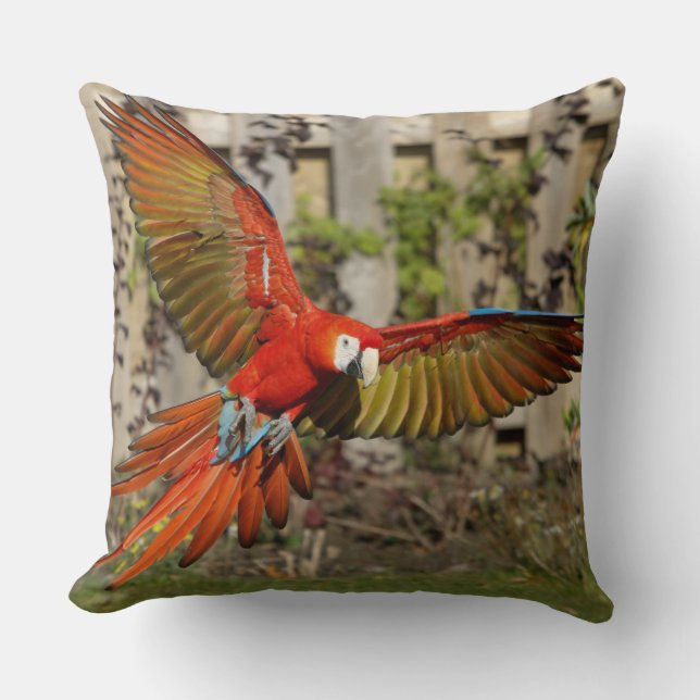 Oreiller volant rouge Macaw (Recto)
