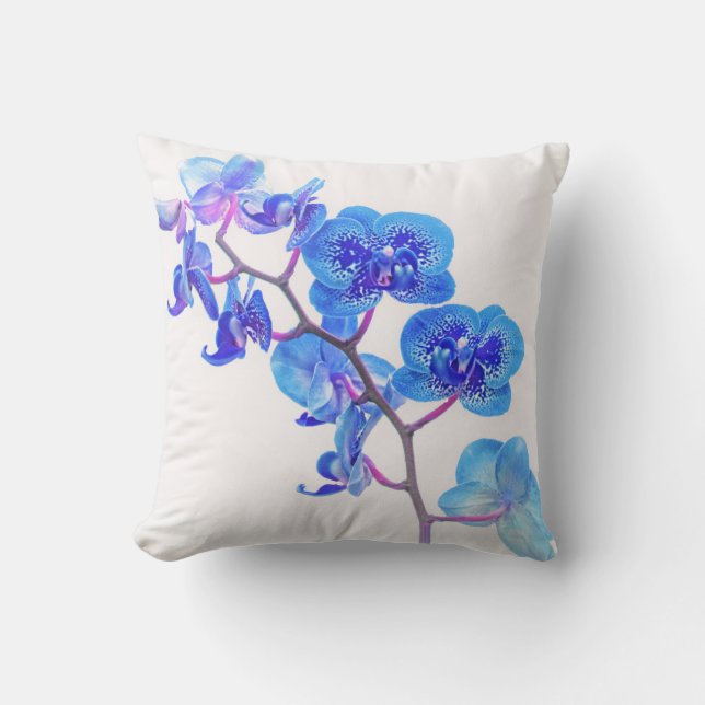 Oreillers à lancer bleu clair (Recto)