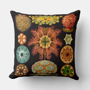 Oreillers à lancer Carré d'écureuil marin