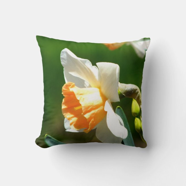 Oreillers à lancer d'abricot Daffodil (Recto)