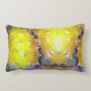 Oreillers à lancer de fruits du dragon