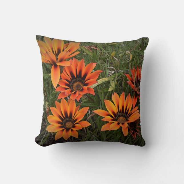 Oreillers à lancer orange et noir Gazanias (Recto)