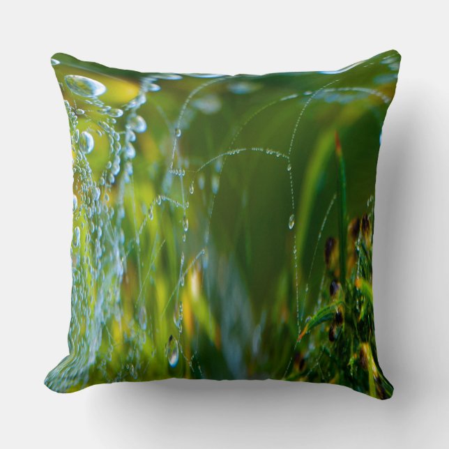 Oreillers à lancer Web Spider (Recto)