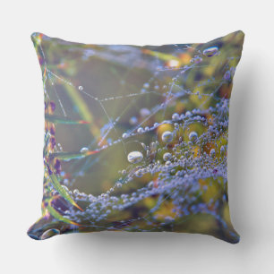 Oreillers à lancer Web Spider