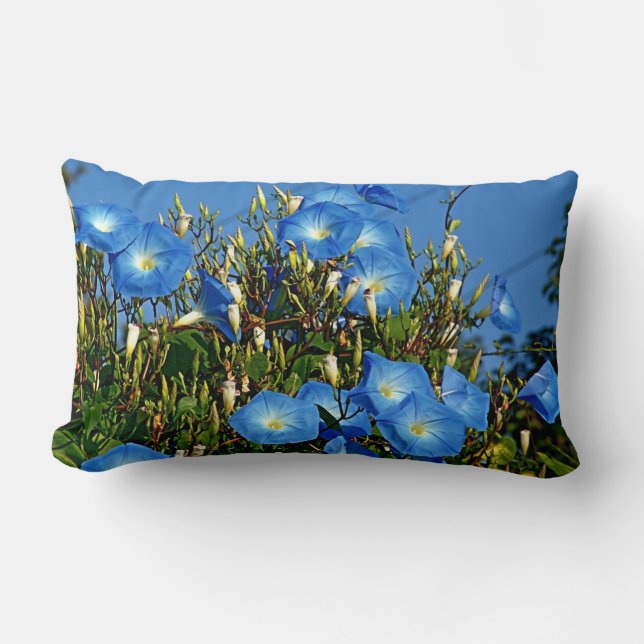 Oreillers Lumineux Bleu Céleste Le Matin (Recto)