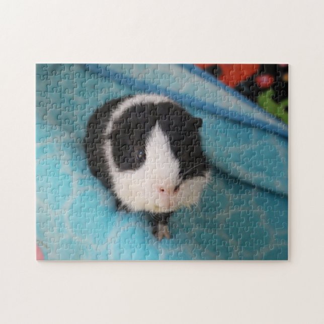 Oreo Puzzle (Horizontal)