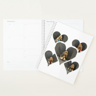 Organisateur de chiot Basset hound