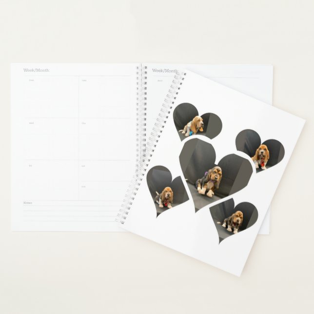 Organisateur de chiot Basset hound (Devant avec enveloppe)