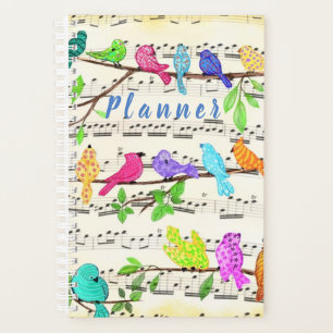 Organisateur d'oiseaux musicaux colorés