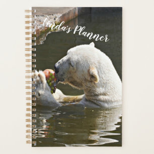 Organiseur Ours Polaire Mangeant des Fruits