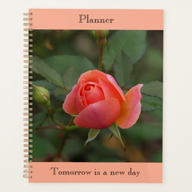 Organiseur Rose Corail (Devant)