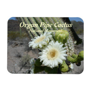 Orgue Pipe Cactus Monument national Magnet