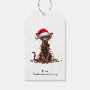 Oriental Shorthair Cat - Étiquettes cadeaux