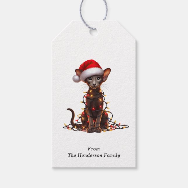 Oriental Shorthair Cat - Étiquettes cadeaux (Devant)