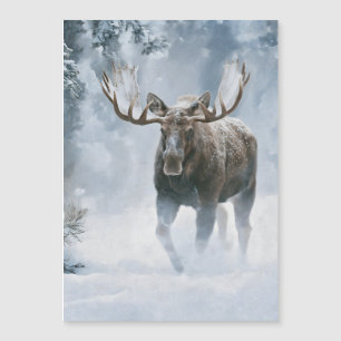 Orignal mâle marchant dans la neige boréale